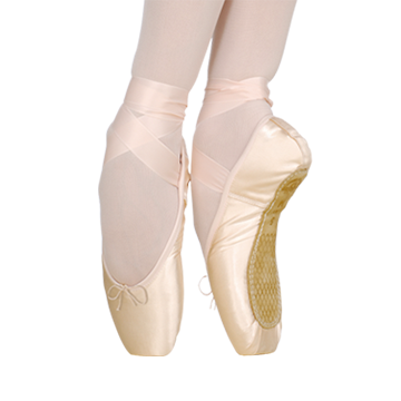 Nikolay Grishko Enchanting Miracle Pointe Shoe